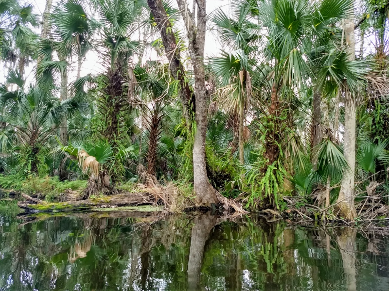 Wekiwa Springs State Park