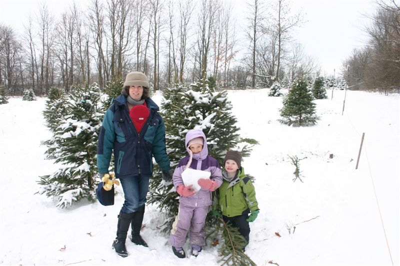 Cutting down Christmas tree