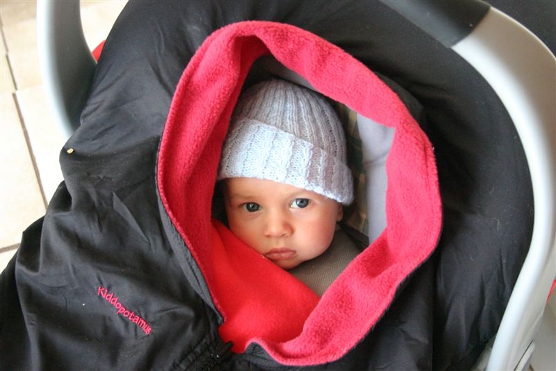 Alex in car seat cover