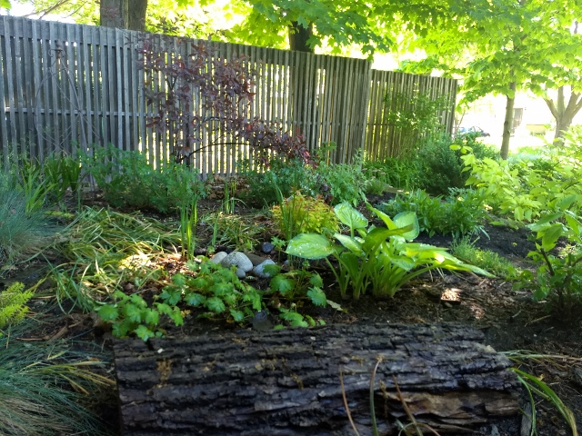 Front garden
